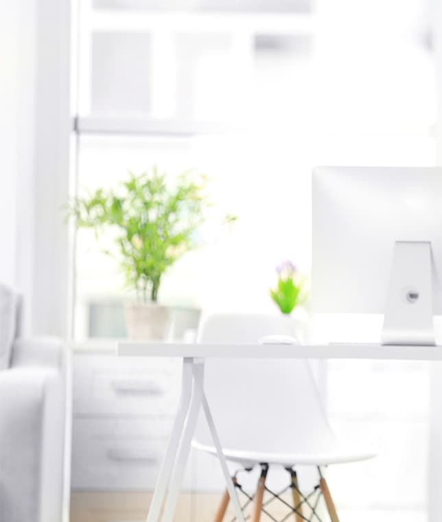 Bright Scandinavian interior with green plant